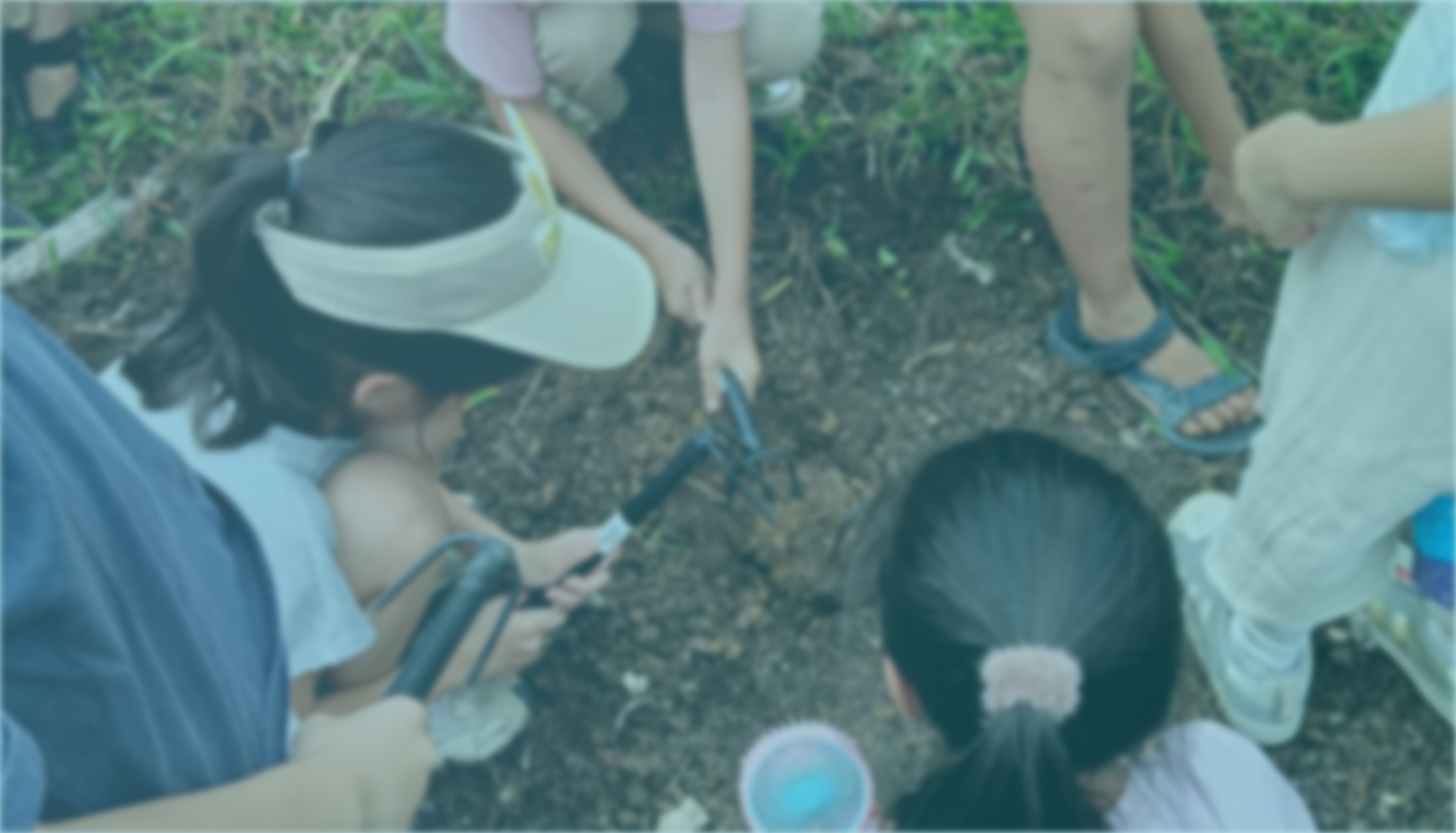 Children in Harmony with Earth - A living school nestled in nature, where children learn in rhythm with the seasons and grow in harmony with the land.